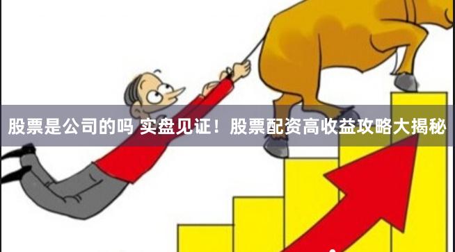 股票是公司的吗 实盘见证！股票配资高收益攻略大揭秘