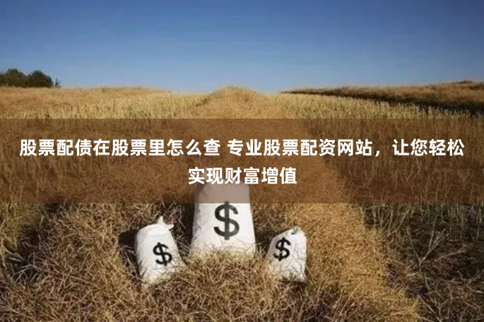 股票配债在股票里怎么查 专业股票配资网站，让您轻松实现财富增值